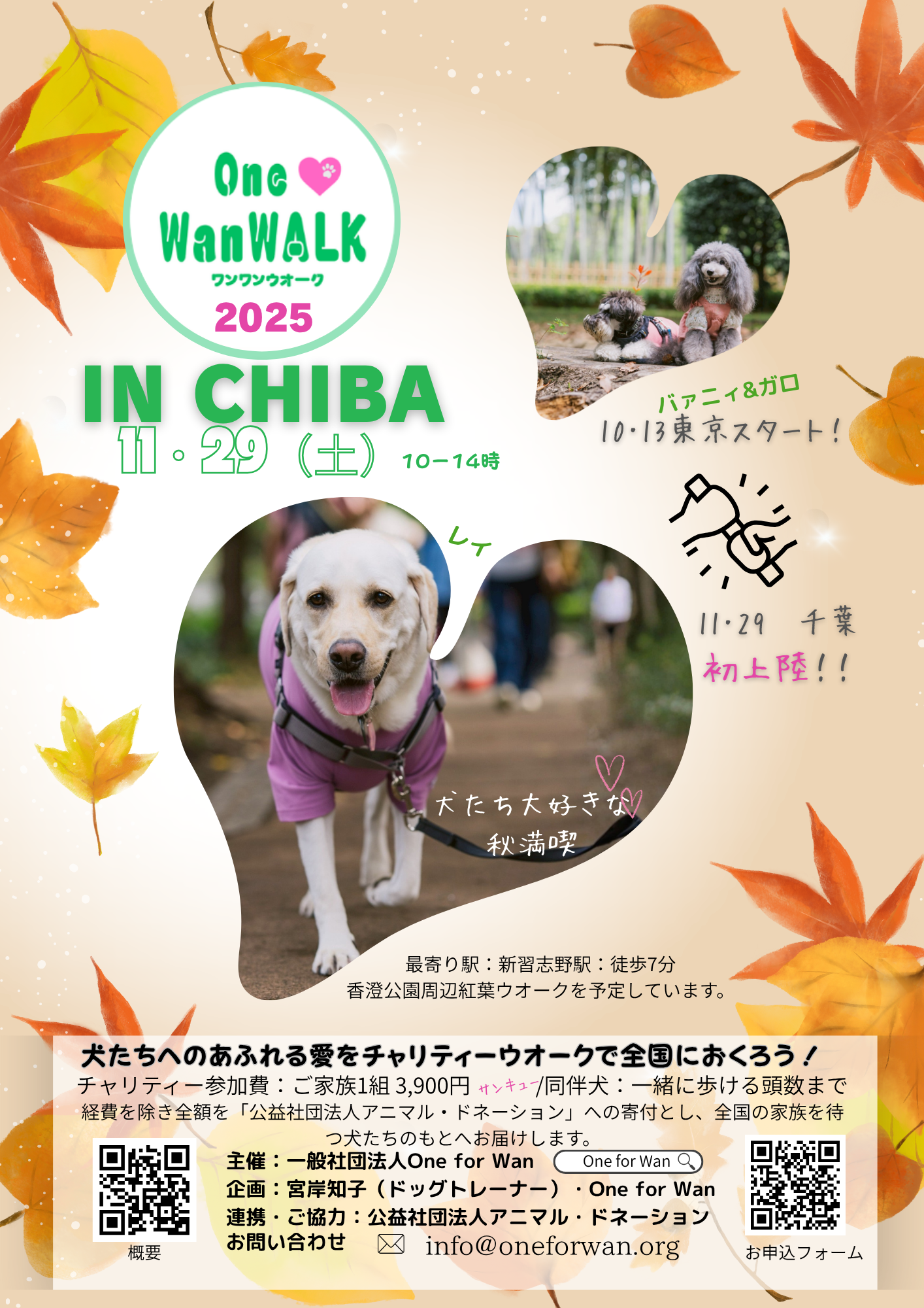 お知らせ - 一般社団法人 One for Wan